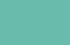 45 - mint 45 - mint